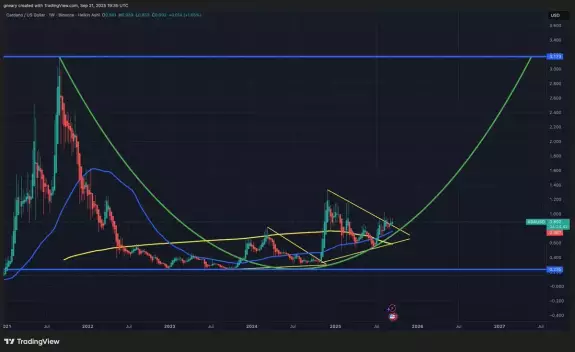 The Long Investor