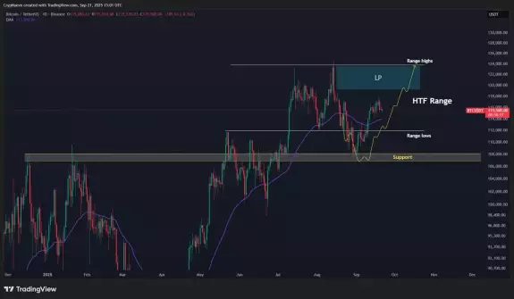CrypNuevo🔨