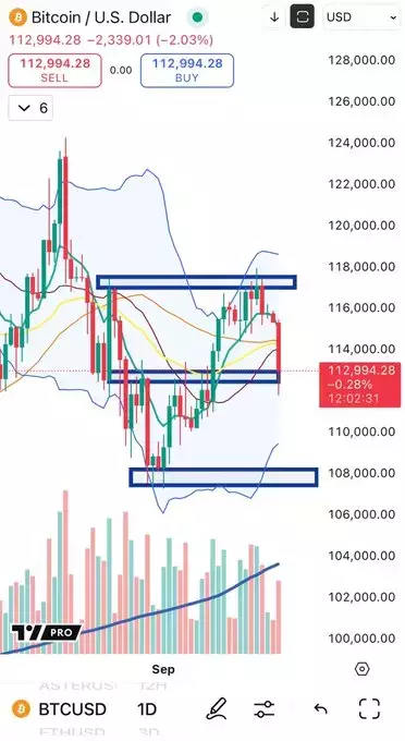 Cheds Trading