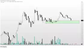 Altcoin Sherpa