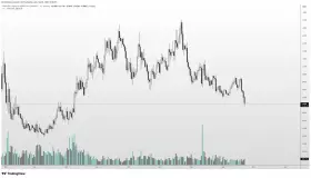 Altcoin Sherpa