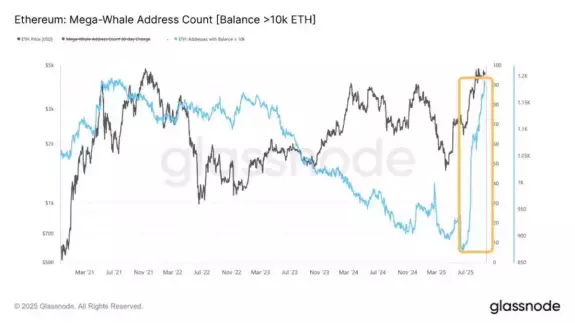 Crypto_Elif