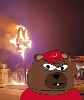 Mr. BOBO Nakamoto 波波 熊