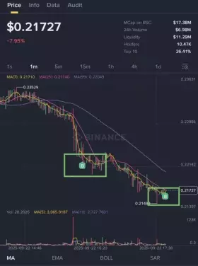 Crypto Peak