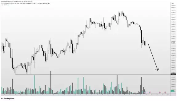 Altcoin Sherpa