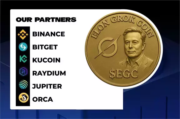 ELON GROK COIN