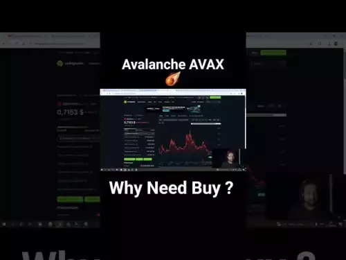 Why We need Buy This Coin Avalanche Avax Big Update !