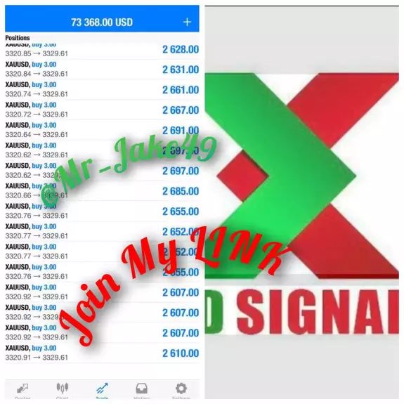 FOREX MASTER King