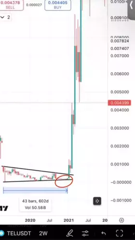 BitcoinHabebe