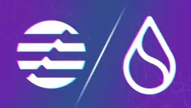 dyomaris.eth 𝔽rAI