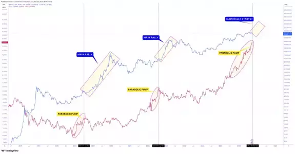 CRYPTOWZRD