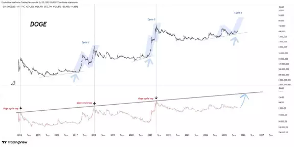 Cryptollica⚡️