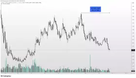 Altcoin Sherpa