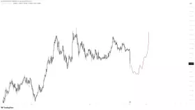 TraderPA TraderPA