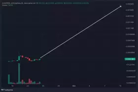 Crypto Retardio