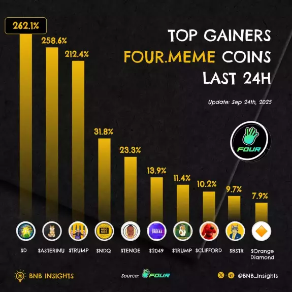 BNB Insights