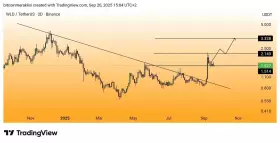 Bitcoin Meraklısı