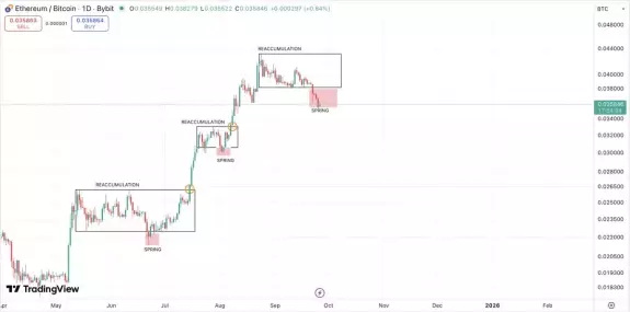 Crypto Fella