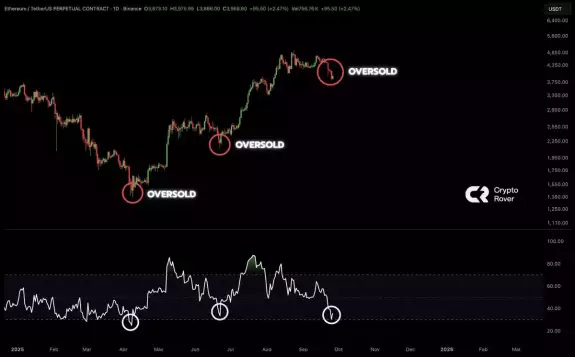 Crypto Rover
