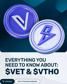 CryptoBusy