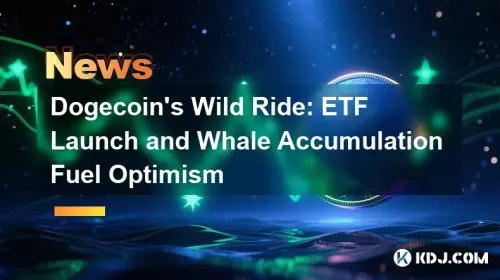 Dogecoin 's Wild Ride : ETF 발사 및 고래 축적 연료 낙관론