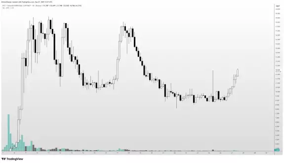 Altcoin Sherpa