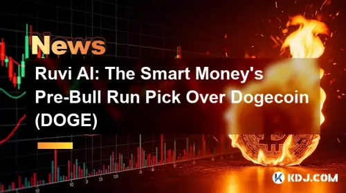 Ruvi AI: The Smart Money's Pre-Bull Run Pick Over Dogecoin (DOGE)