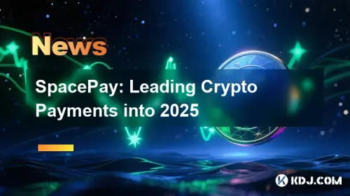 SpacePay: Leading Crypto Payments into 2025