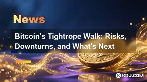 比特幣的Wightrope Walk：風險，低迷，接下來是什麼
