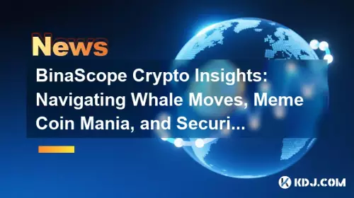 Binascope Crypto Insights：在數字邊界中導航鯨魚動作，模因硬幣和安全性