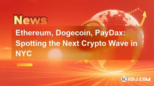 以太坊，狗狗幣，paydax：發現紐約市的下一個加密浪潮
