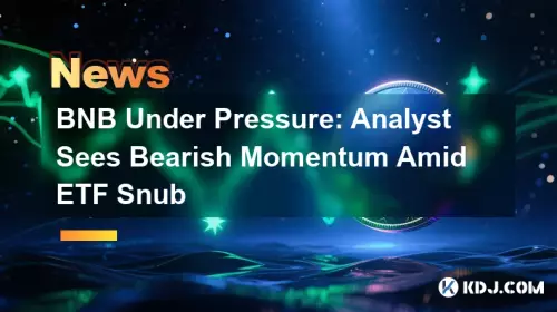 BNB Under Pressure: Analyst Sees Bearish Momentum Amid ETF Snub