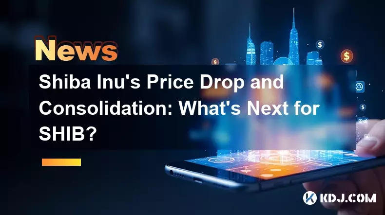 La baisse des prix et la consolidation de Shiba Inu: quelle est la prochaine étape pour Shib?