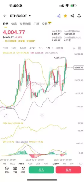 比特肥 || Bitfatty (🍀,🍀)