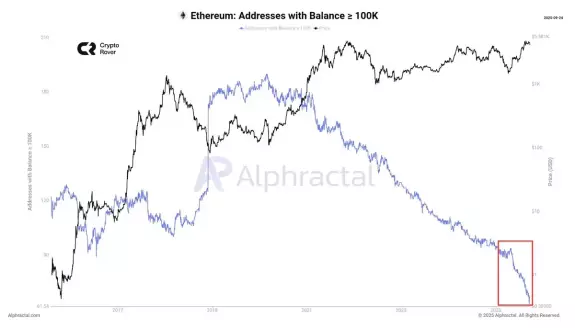 Crypto Rover