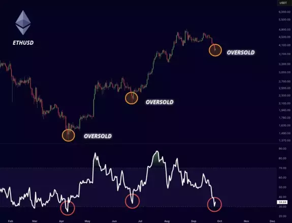 Mister Crypto