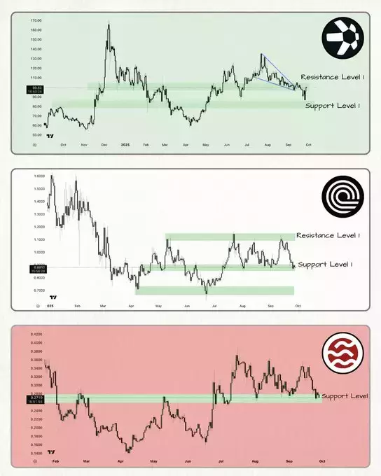 Our Crypto Talk
