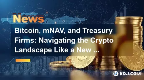 比特币，MNAV和国库公司：像纽约客一样浏览加密货币景观