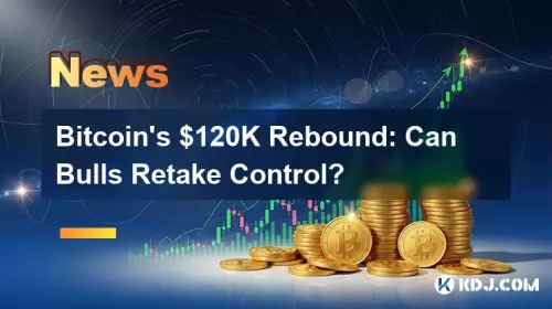 Bitcoin's $120K Rebound: Can Bulls Retake Control?