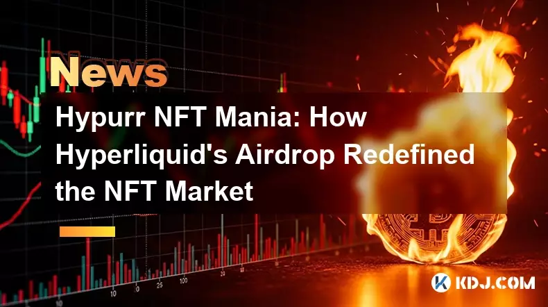 Hypurr NFT Mania: How Hyperliquid's Airdrop Redefined the NFT Market