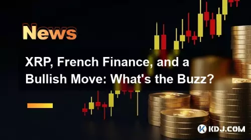 XRP,法國財務和看漲的舉動:嗡嗡聲是什麼? XRP,法國財務和看漲的舉動:嗡嗡聲是什麼?