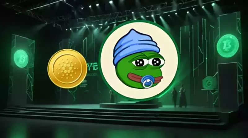 Cardano, High ROI 및 최고의 동전 : 지금은 무엇이 더운가?