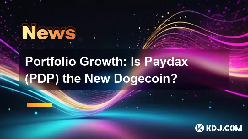 포트폴리오 성장 : Paydax (PDP)는 새로운 Dogecoin입니까? 포트폴리오 성장 : Paydax (PDP)는 새로운 Dogecoin입니까?