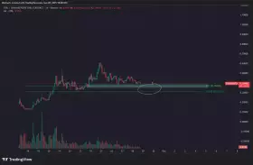kikcharts🐂