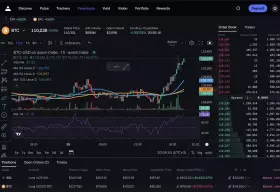 Cryptoloss