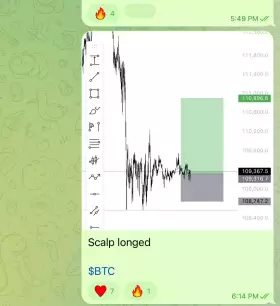 raizelXbt