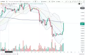 Cheds Trading