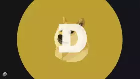 Crypto Tony