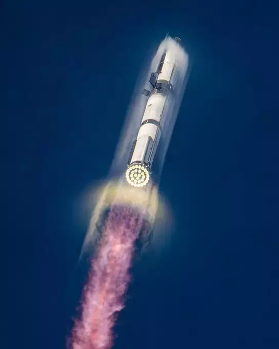 ELON GROK COIN