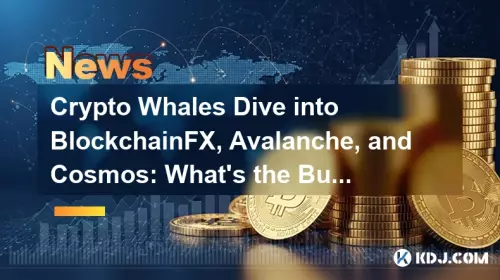 Kryptowale tauchen in Blockchainfx, Avalanche und Kosmos ein: Was ist der Summen? Kryptowale tauchen in Blockchainfx, Avalanche und Kosmos ein: Was ist der Summen?